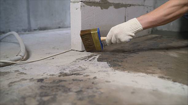 SJ Waterproofing Pros Emergency Waterproofing coverage map for Morrice, MI and surrounding area